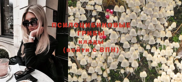 альфа пвп Гусиноозёрск