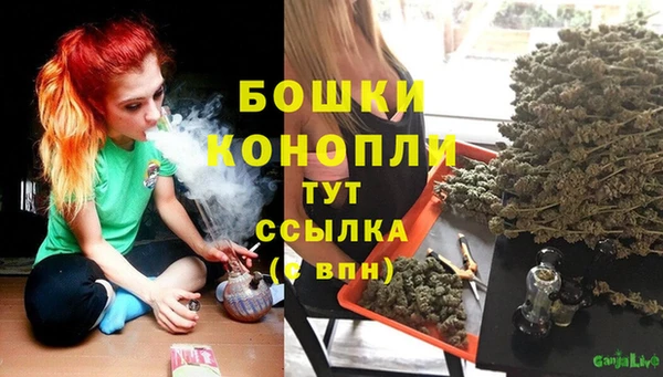 не бодяженный Гусь-Хрустальный