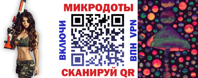 дарнет шоп Заринск Галлюциногенные грибы Psilocybine cubensis