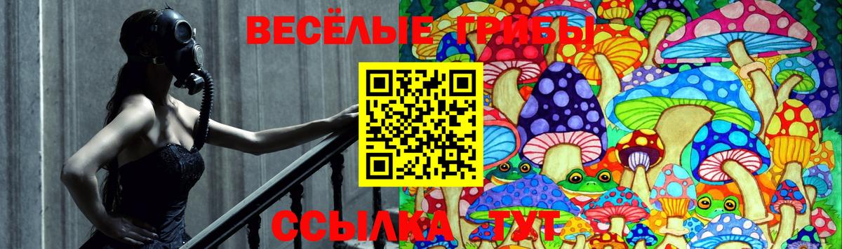 Галлюциногенные грибы Psilocybine cubensis Заринск