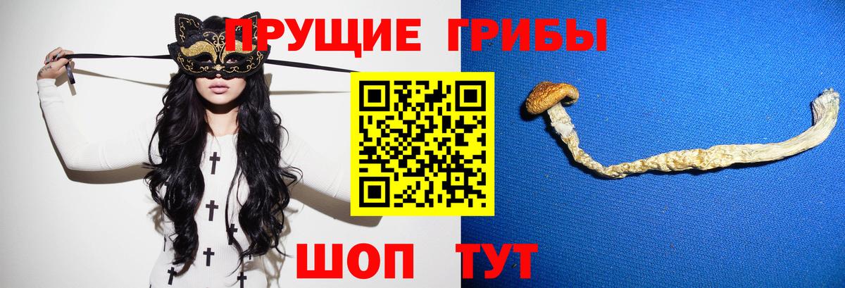 Заринск  Галлюциногенные грибы мухоморы  Вход с VPN 