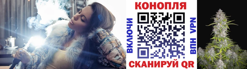 ссылка на мегу зеркало Заринск Бошки Шишки ГИДРОПОН